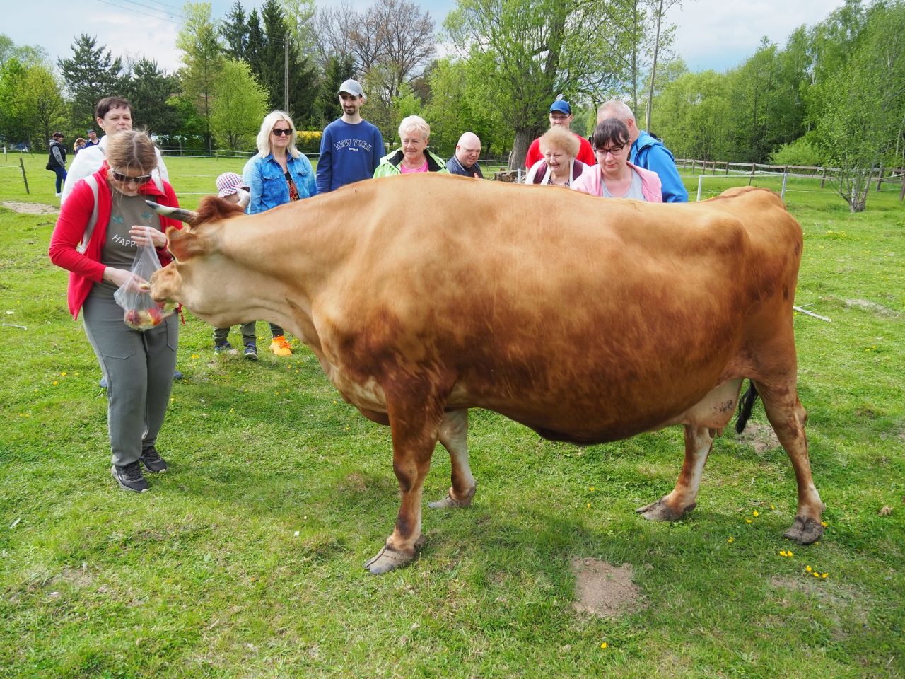 siedlisko, 3 pokoje Lubomierz, milęcice. Zdjęcie 21