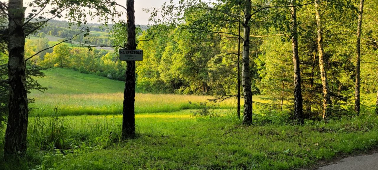 Działka budowlana Wola Więcławska, ul. Spacerowa. Zdjęcie 5
