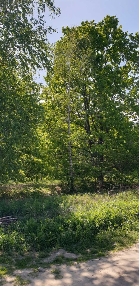 Działka budowlana Jabłonna, ul. Leśna