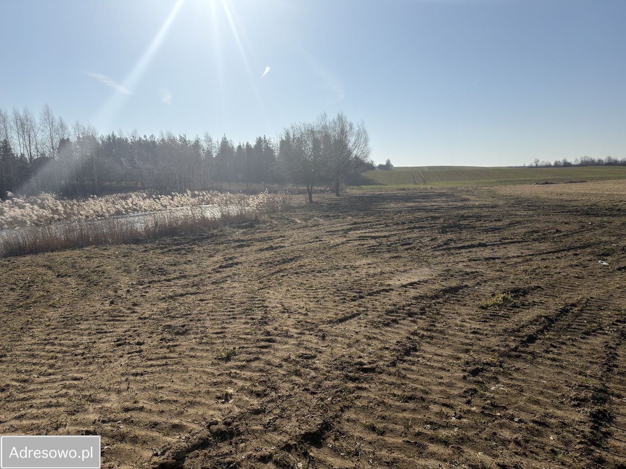 Działka budowlana Sulnowo, ul. Stawowa. Zdjęcie 5