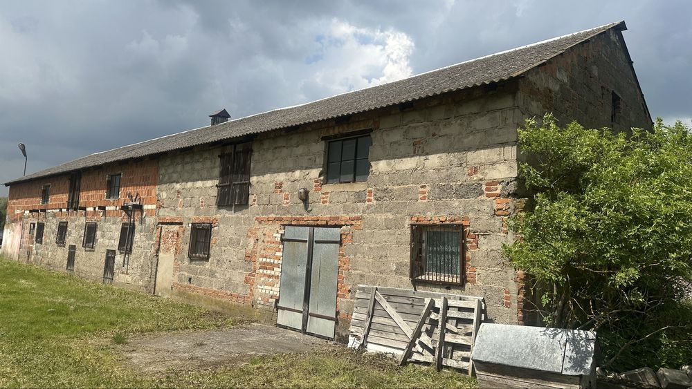 Działka rolna Karniszewo