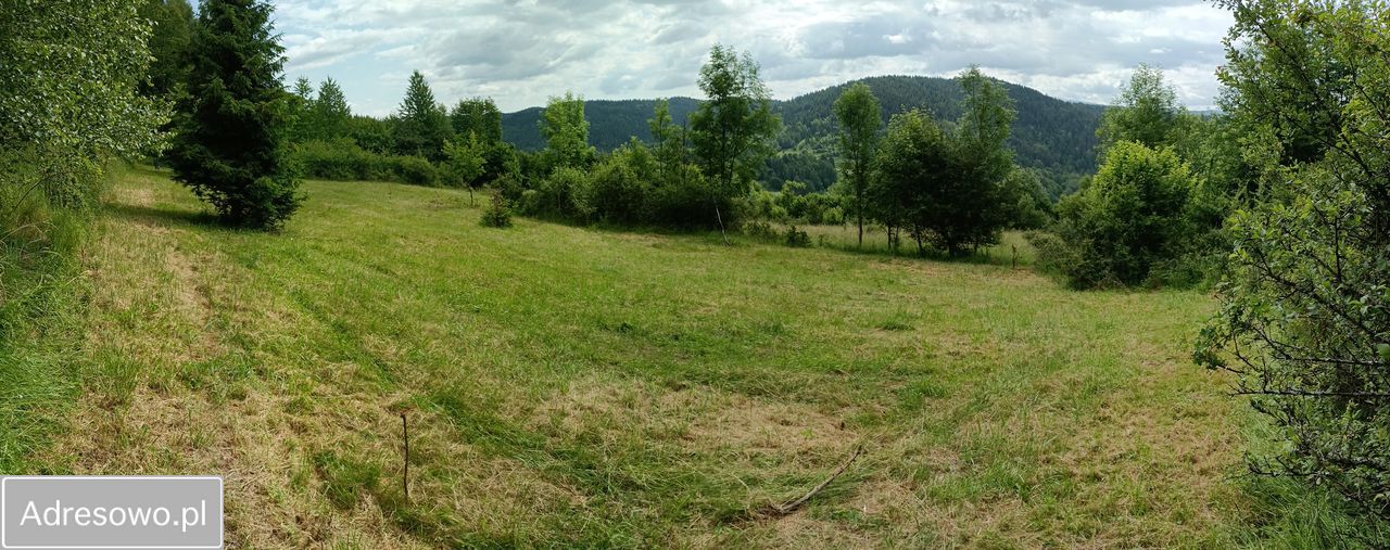 Działka rolna Mutne. Zdjęcie 6