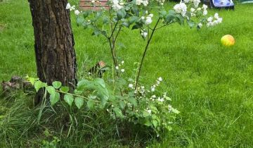 Działka rod Warszawa Wilanów