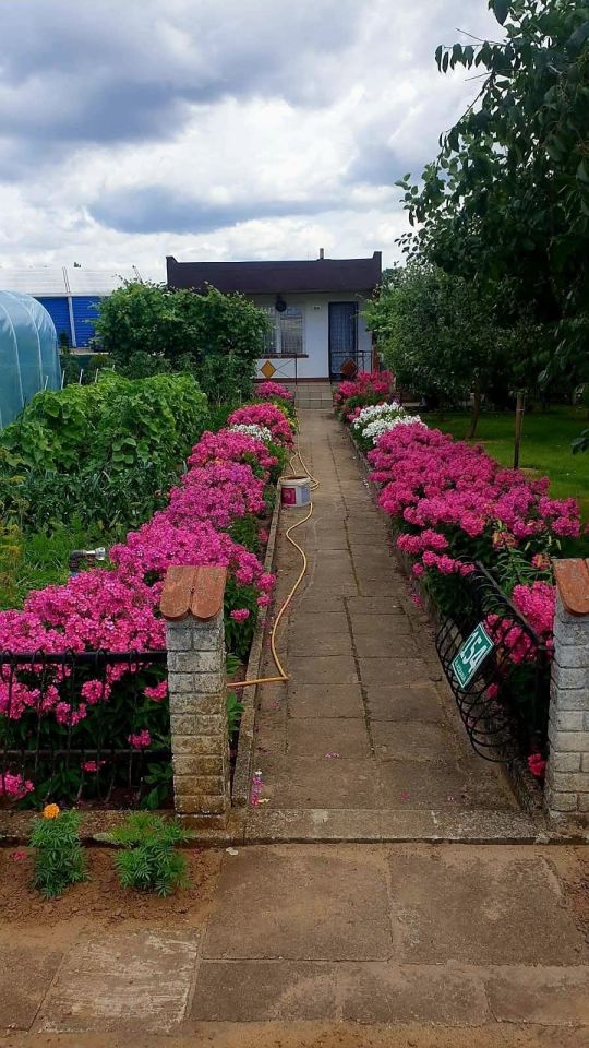 Działka rod Śrem. Zdjęcie 4