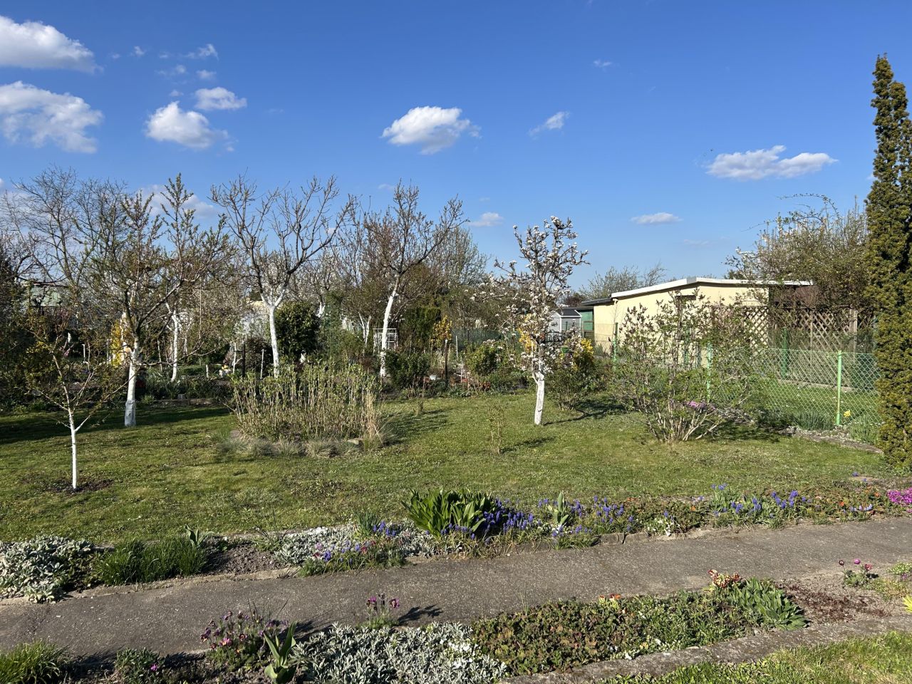 Działka rod Głogów, ul. Adama Mickiewicza. Zdjęcie 9