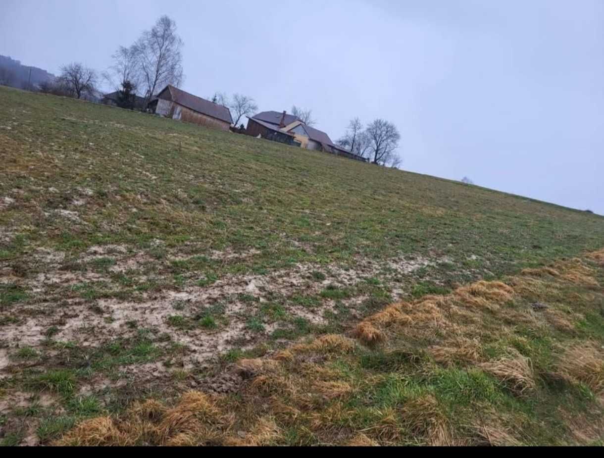 Działka na sprzedaż bez pośredników
Czermna
