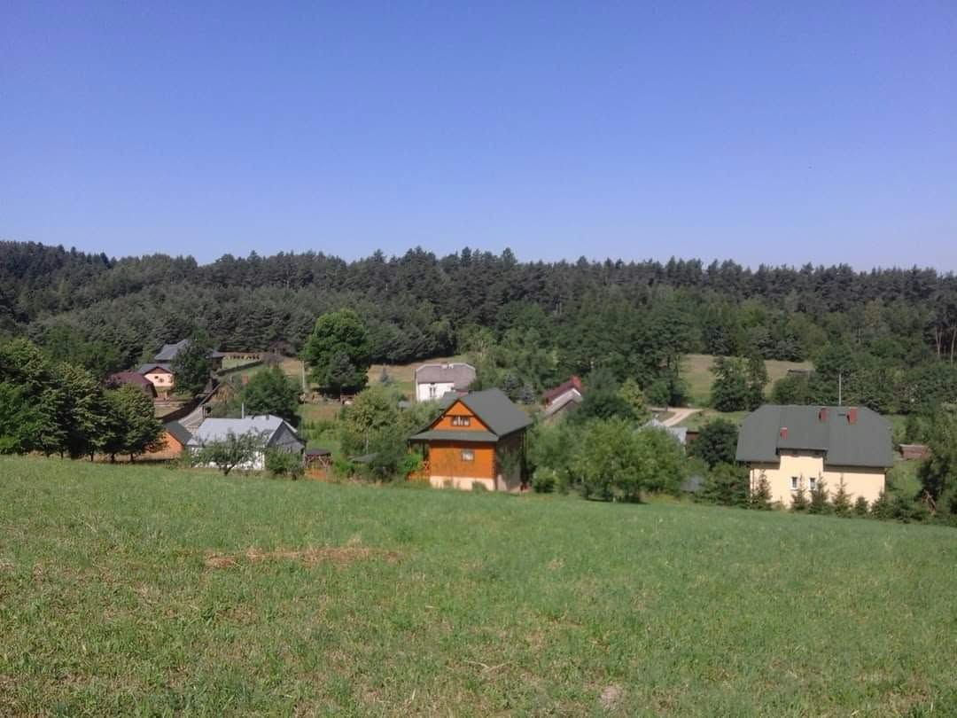 Działka rolna Majdan Wielki Borki, ul. Borki. Zdjęcie 1