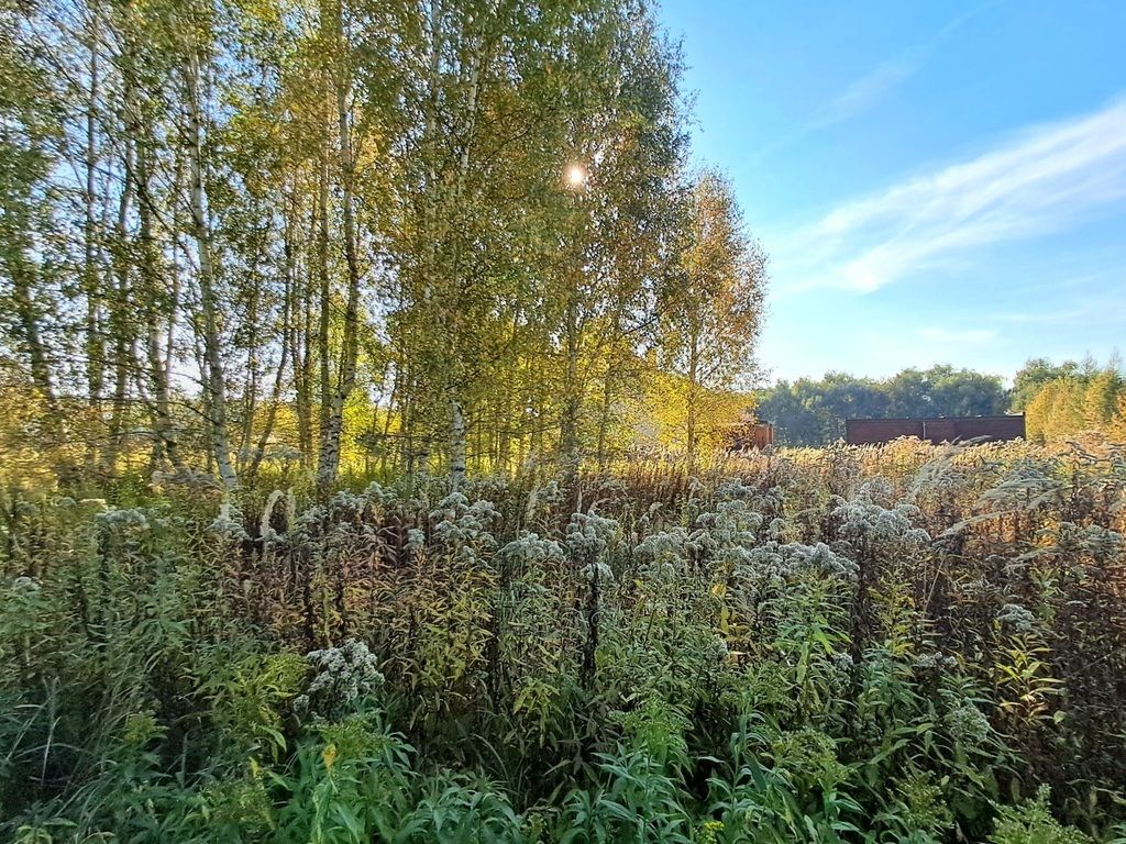 Działka budowlana Morzęcin Mały, ul. Brzezińska. Zdjęcie 19