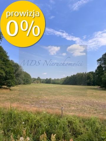 Działka budowlana Węgrów Nowiny. Zdjęcie 2