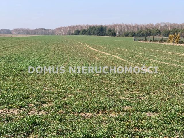 Działka budowlana Złotniki. Zdjęcie 2