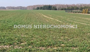 Działka budowlana Złotniki