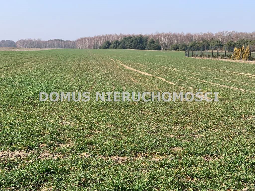 Działka budowlana Złotniki. Zdjęcie 2