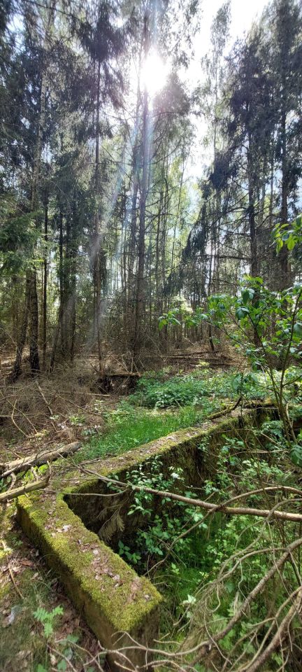 Działka budowlana Lisy. Zdjęcie 4