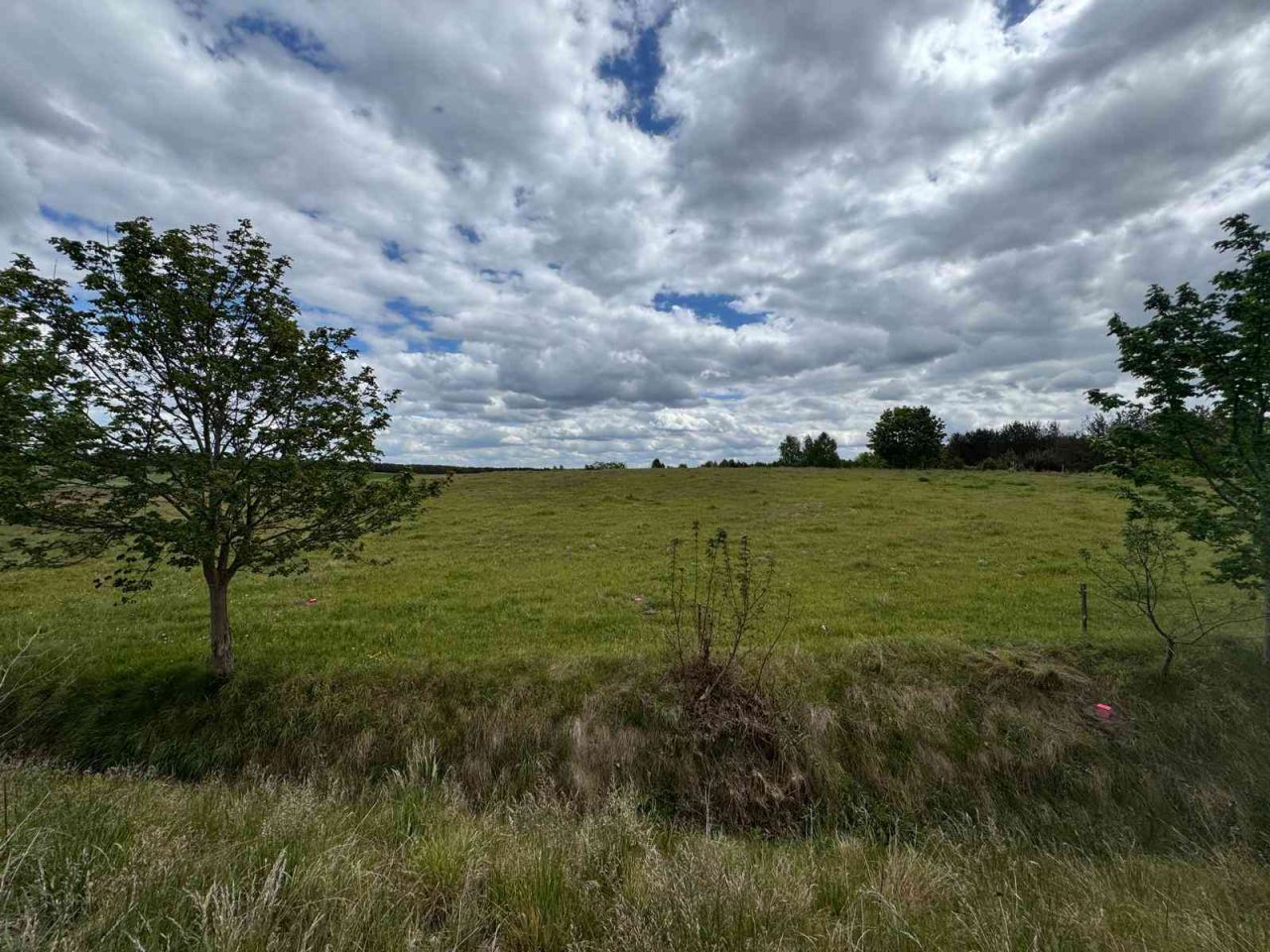 Działka rolno-budowlana Odry, al. Topoli. Zdjęcie 13