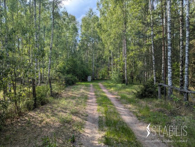 Działka budowlana Grzybowce. Zdjęcie 5