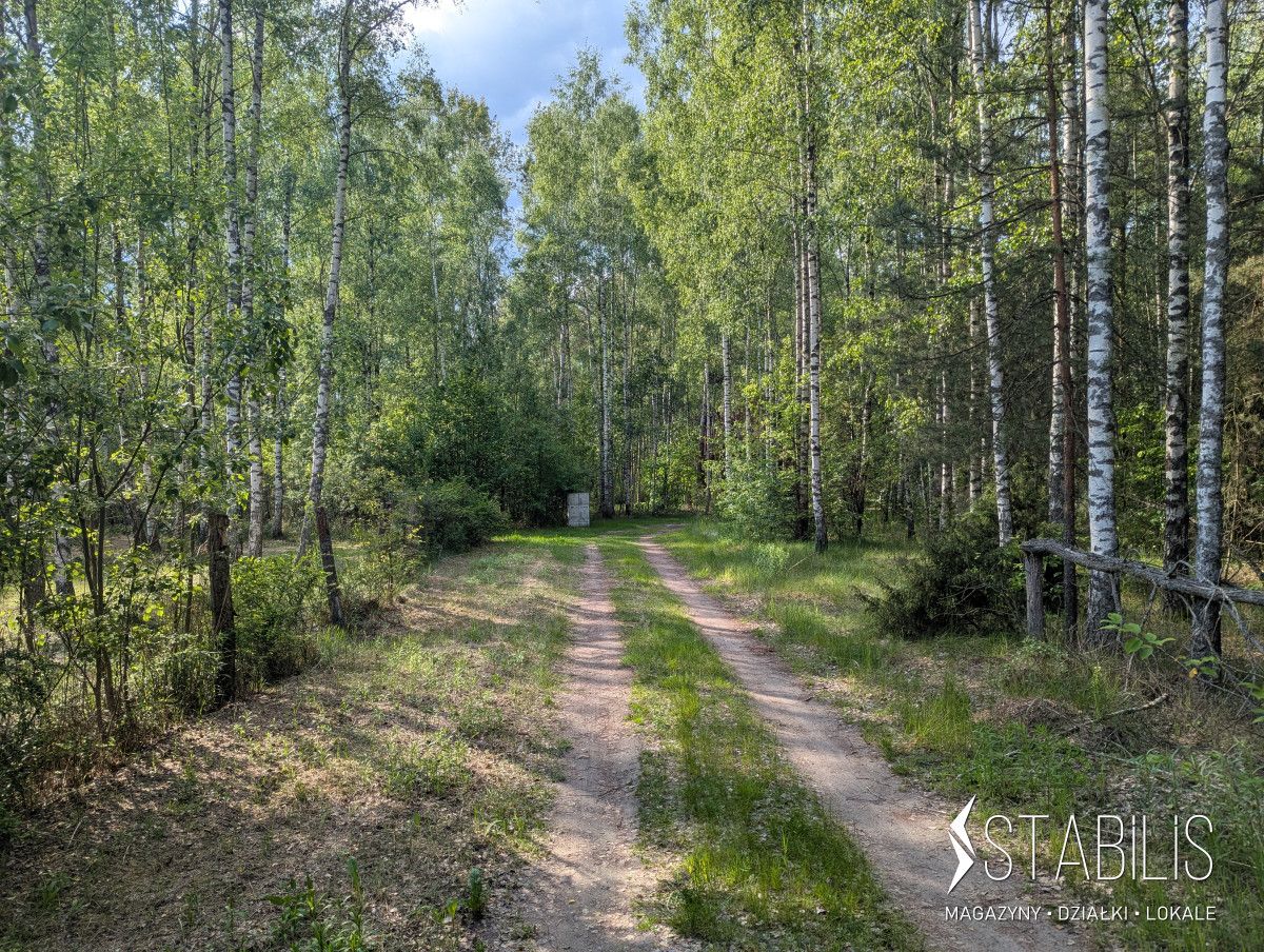 Działka budowlana Grzybowce. Zdjęcie 5