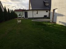 bliźniak Przytoń. Zdjęcie 1