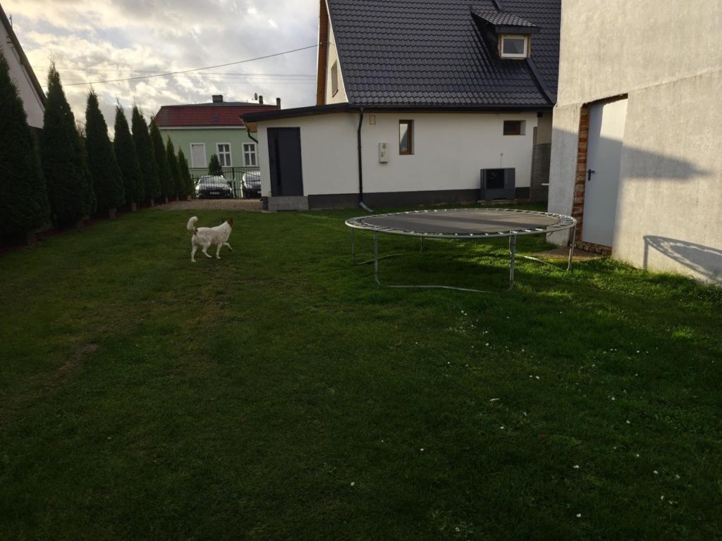 bliźniak Przytoń. Zdjęcie 2