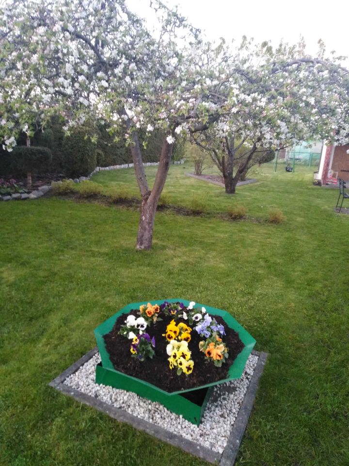 Działka rod Białogard, ul. Chocimska. Zdjęcie 4