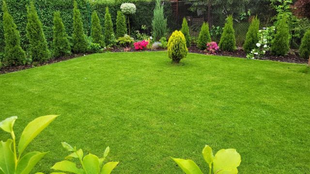 Działka rod Będzin Boleradz. Zdjęcie 1