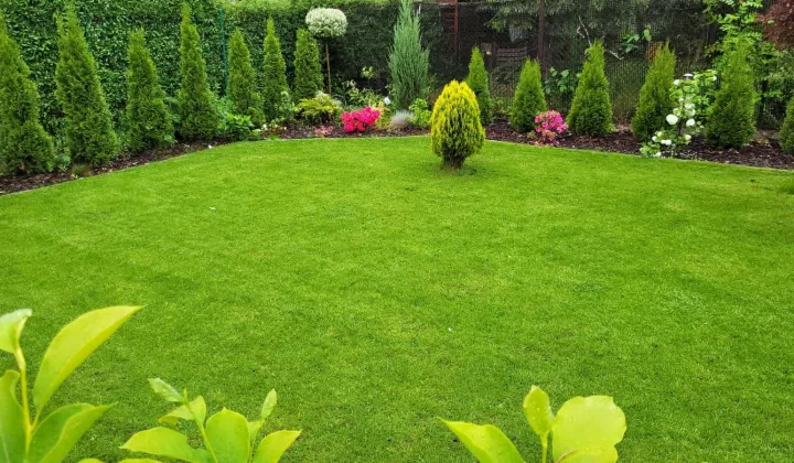 Działka rod Będzin Boleradz