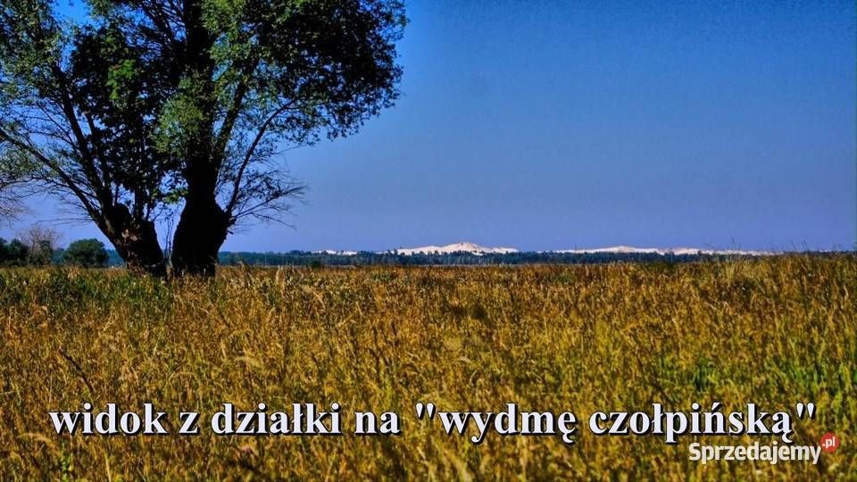 Działka rekreacyjna Łokciowe. Zdjęcie 4