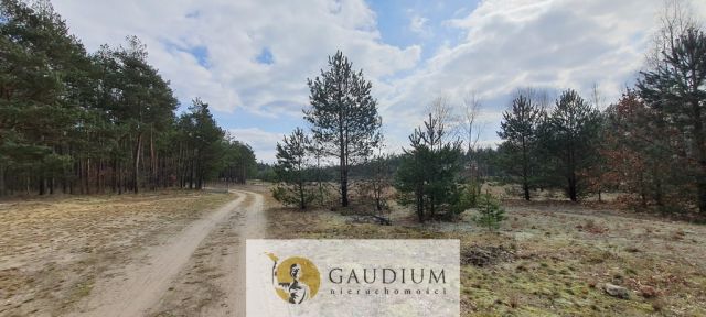 Działka budowlana Czersk, ul. Tucholska. Zdjęcie 18