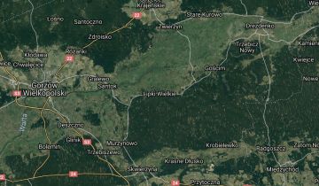 Działka rolna Lipki Wielkie