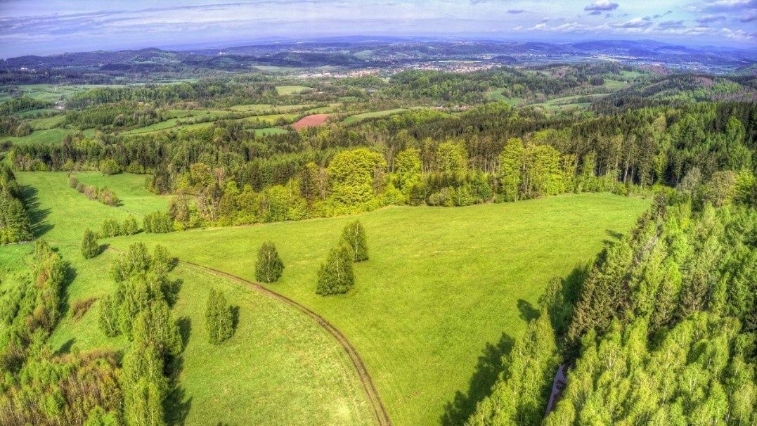 Działka budowlana Leśna. Zdjęcie 2