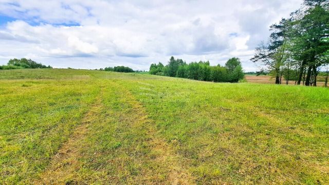 Działka budowlana Dąbrówka Wielka. Zdjęcie 8