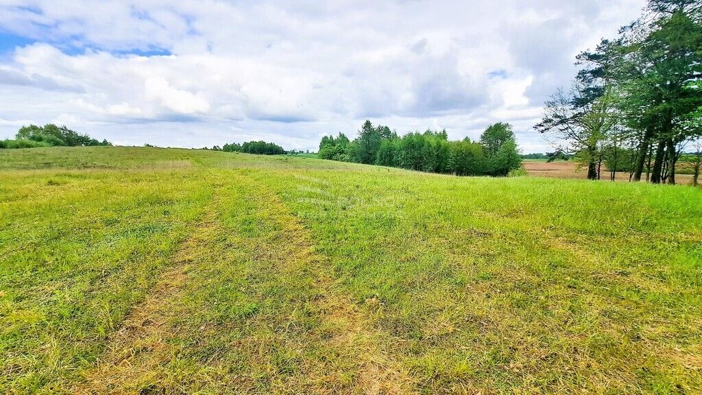 Działka budowlana Dąbrówka Wielka. Zdjęcie 8