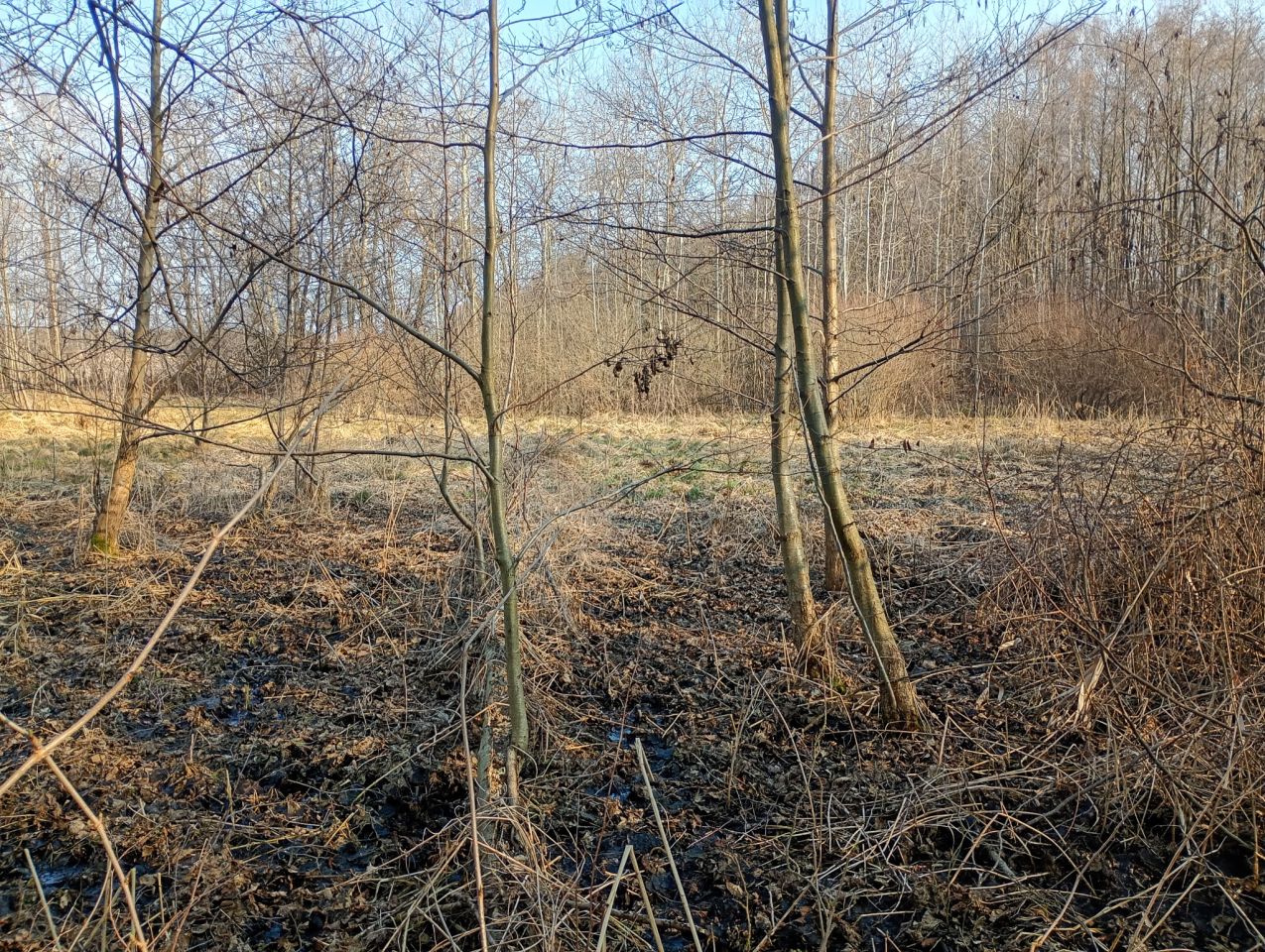 Działka rolna Wydrzyn. Zdjęcie 7