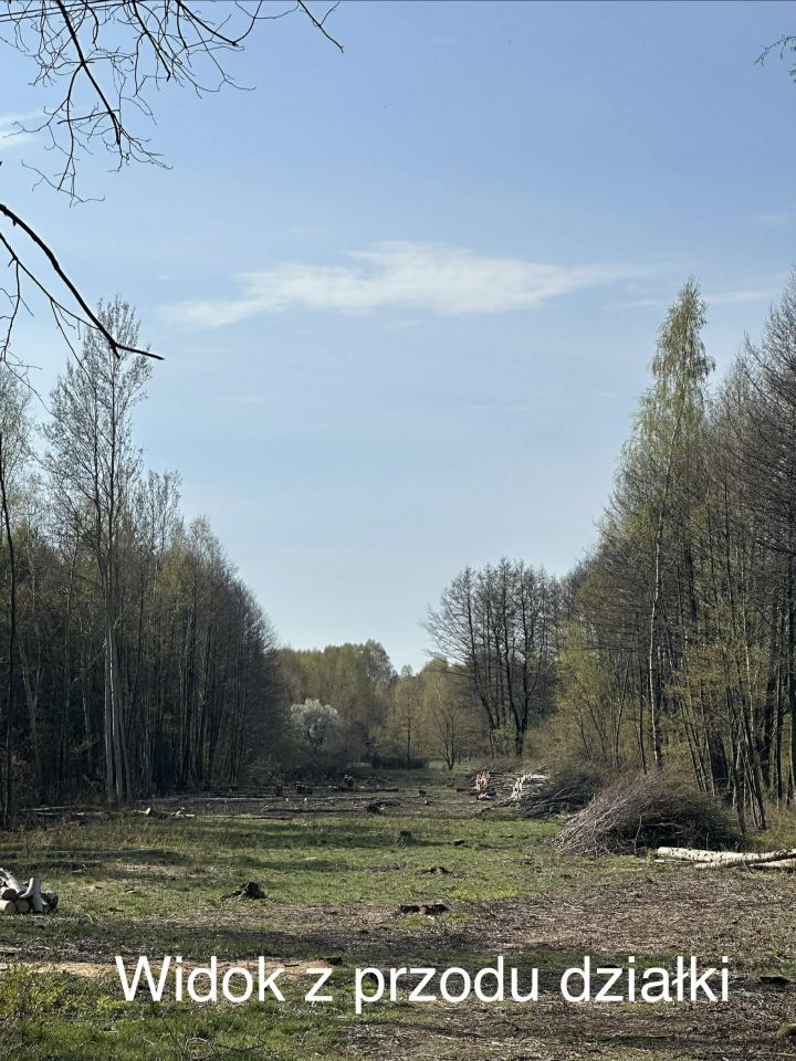 Działka rolno-budowlana Huta Dłutowska Kapkazy, ul. Kapkazy. Zdjęcie 5