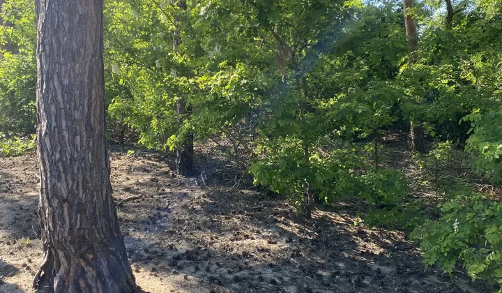 Działka budowlana Brzozówka