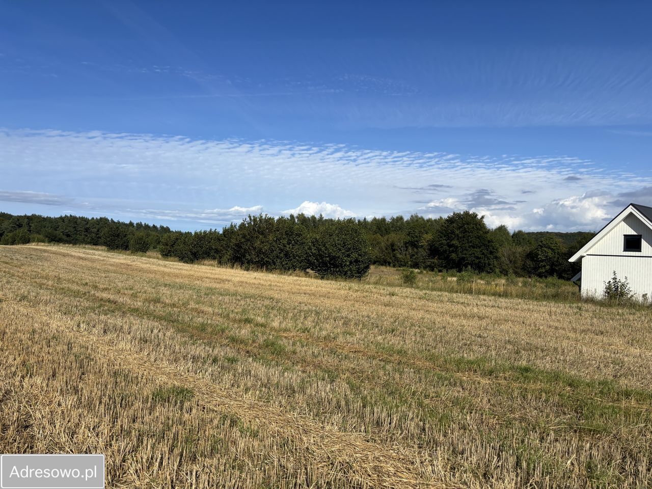 Działka budowlana Klonowo Dolne. Zdjęcie 8