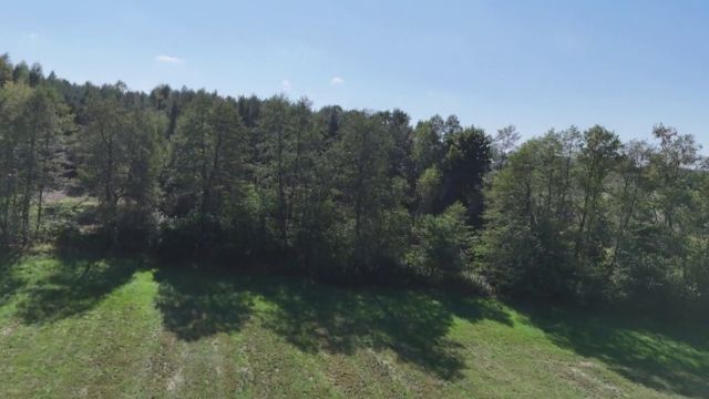 Działka rolna Celinów, ul. Różana. Zdjęcie 4