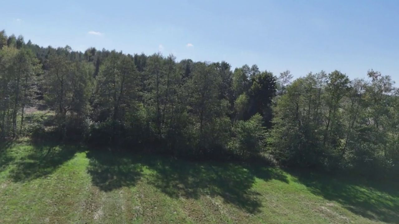 Działka rolna Celinów, ul. Różana. Zdjęcie 4