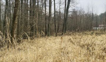 Działka rekreacyjna Myślibórz Wielki