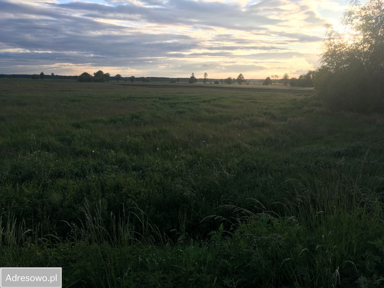 Działka budowlana Zielona Wieś. Zdjęcie 2