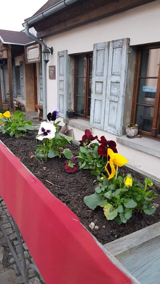 dom wolnostojący Jelenia Góra Sobieszów. Zdjęcie 4