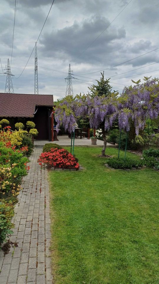 Działka rod Kędzierzyn-Koźle Kuźniczka, ul. Platanowa. Zdjęcie 8