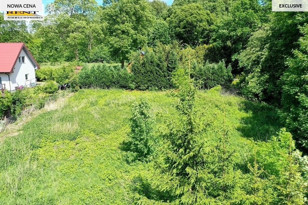 Działka budowlana Parlino. Zdjęcie 15