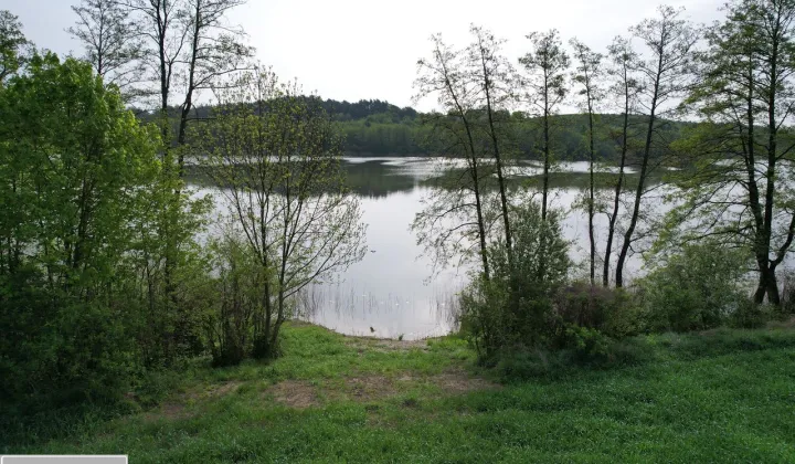 Działka rolna Zbójno