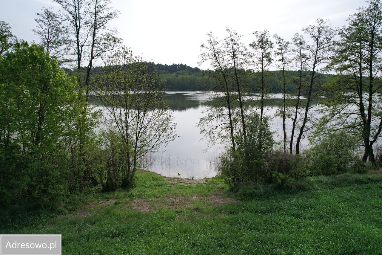 Działka rolna Zbójno