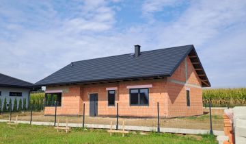 dom wolnostojący Widoma