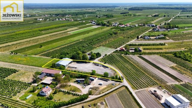 Hala/magazyn Wojciechów. Zdjęcie 12