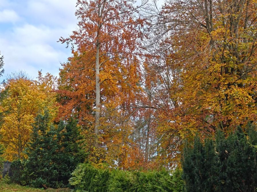 Działka budowlana Parchowo Karłowo. Zdjęcie 9