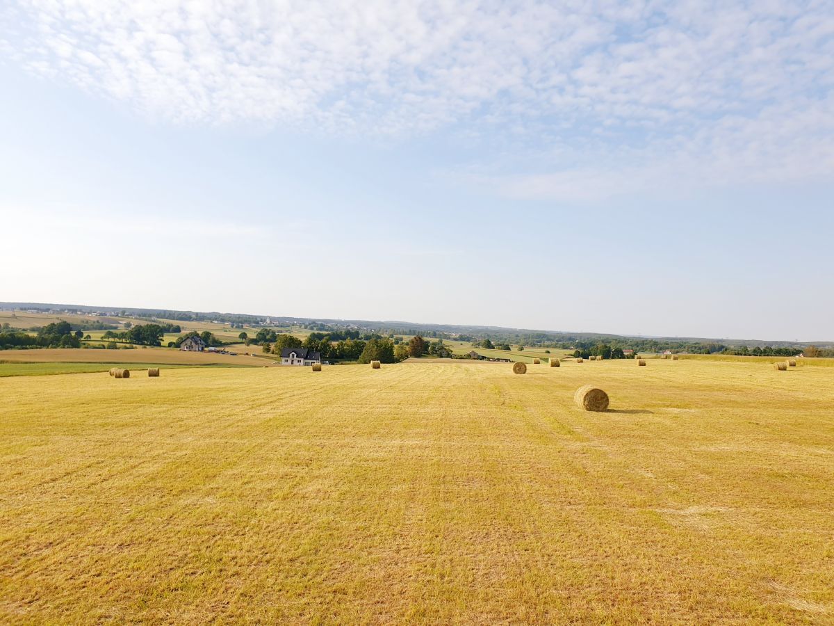 Działka budowlana Barłomino. Zdjęcie 2