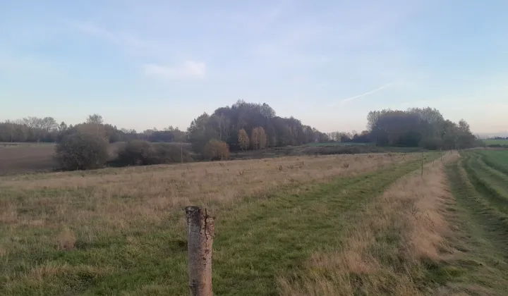 Działka rolna Grodnica