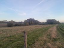 Działka rolna Grodnica